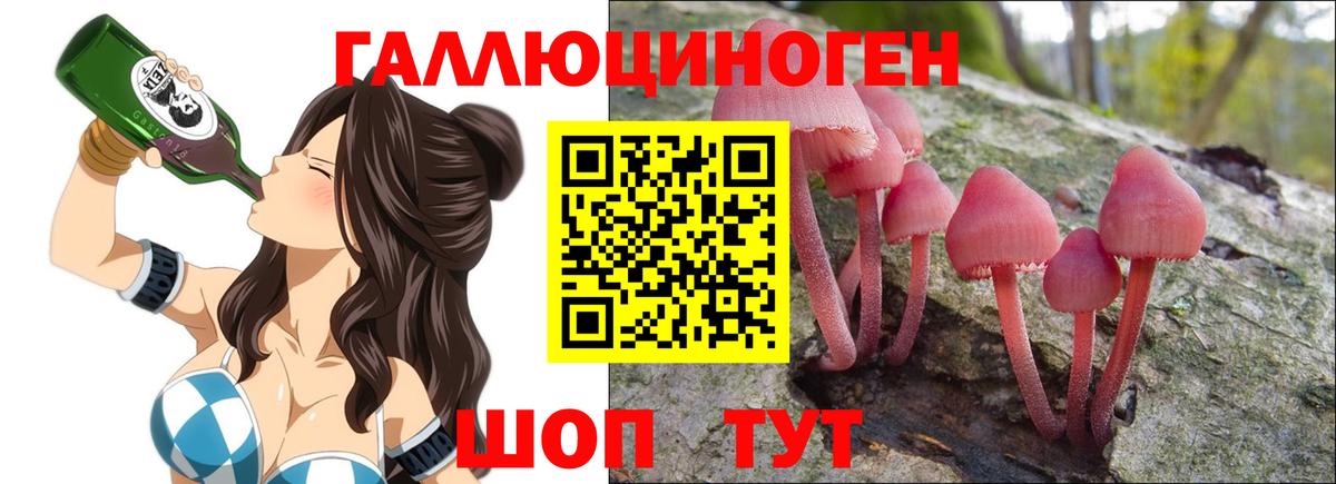 Псилоцибиновые грибы мухоморы  Псилоцибиновые грибы Psilocybe  Альметьевск  Вход с VPN 
